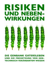 Risiken und Nebenwirkungen - die Genbank Gatersleben und die Freisetzung von gv-Weizen Risiken und Nebenwirkungen