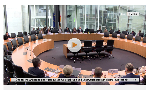 Bildschirmfoto Bundestags-TV (Ausschussitzung 4. November 2019)