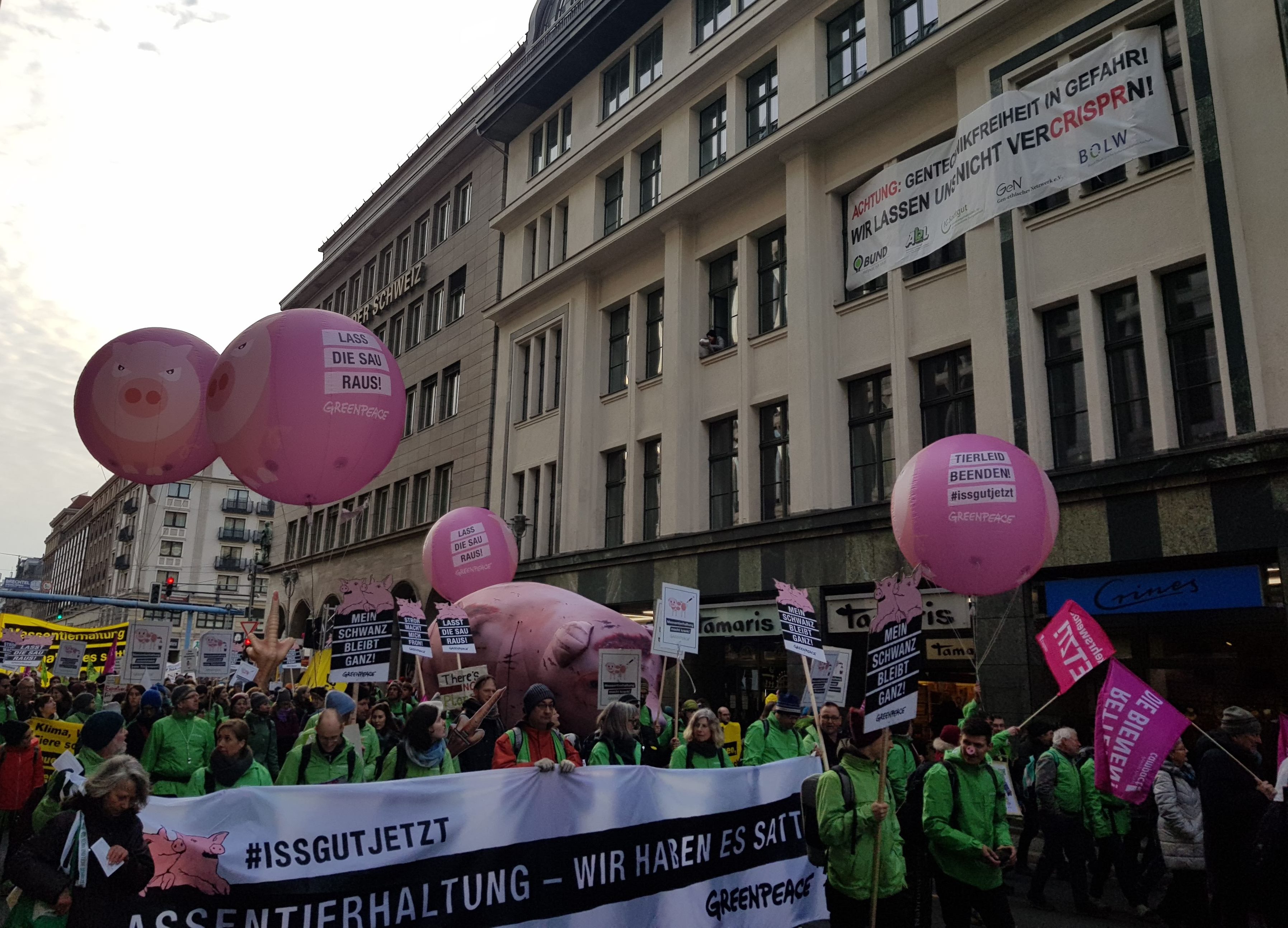 Aktion zu CRISPR auf der Wir haben es satt!-Demonstration