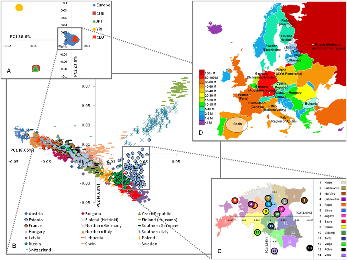 Ein Diagram, dass die genetische Daten aus Europa zeigt