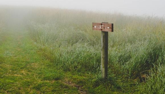 Tests geben fragwürdige Empfehlungen für oder gegen eine Chemotherapie