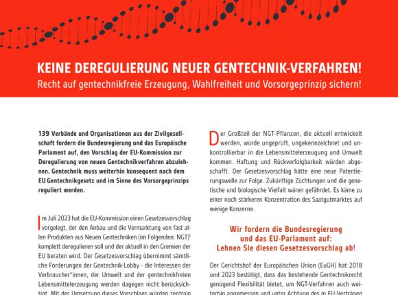 Screenshot Verbändepapier