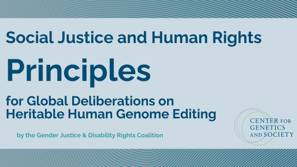 Header Grafik Principles mit Text