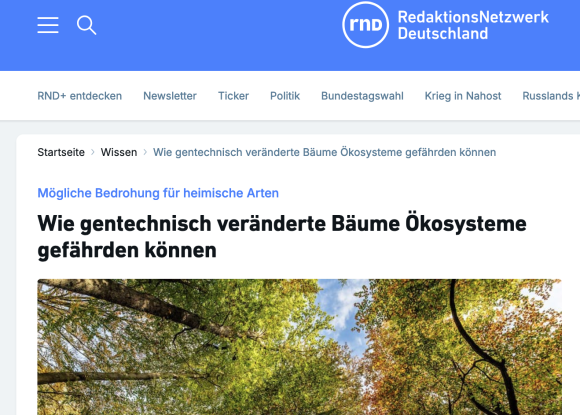 Screenshit RND Artikel über gv-Bäume