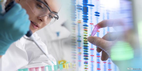 Person mit Pipette im Labor analysiert Genom