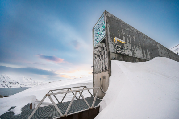 Die Tür zu einem großen Schatz: Die „Svalbard Global Seed Vault“ in Spitzbergen verwahrt Samen der bedeutendsten Nutzpflanzenarten. Die genetische Vielfalt steht der Pflanzenzüchtung und biologischen Grundlagenforschung zur Verfügung